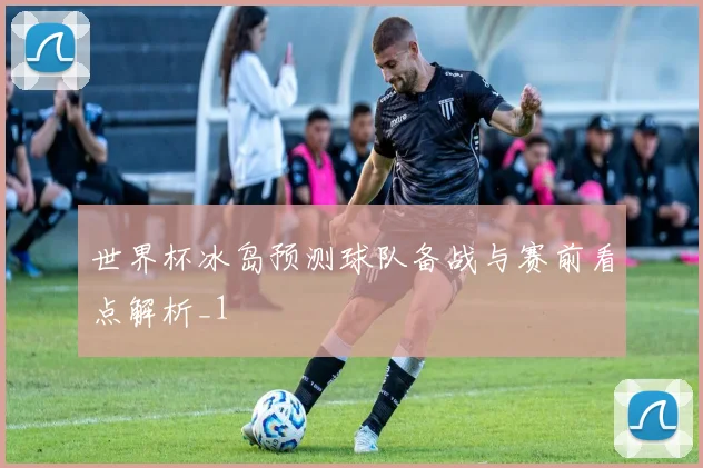 世界杯冰岛预测球队备战与赛前看点解析_1